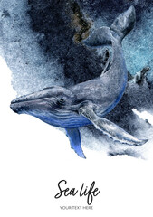 Obraz premium Blue whale watercolor hand drawn illustration on splash background.