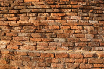 Old brick wall texture background with green leaves