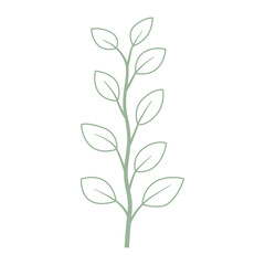 Fototapeta premium Aesthetic Leaves Outline