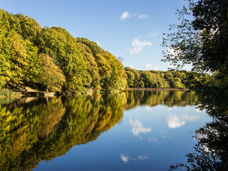 On a still late summer day the sky and trees are reflected in the reservoir at Chellow Dene one of...