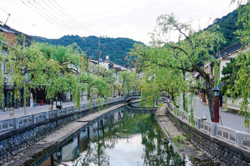 静かな朝 城崎温泉の川べり柳通り（兵庫県豊岡市）