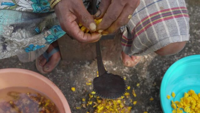Top view of a woman farmer's hand cutting turmeric root into thin equally sized slices