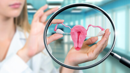 Uterus and ovaries. Hands of woman gynecologist. Model of uterus under magnifying glass. Girl in...
