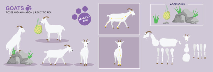 Goat vector ready to rig for animation. White mountain goat collection, multiple poses, cute character.	
