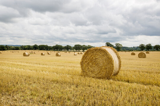 Rural landscape with hay bales