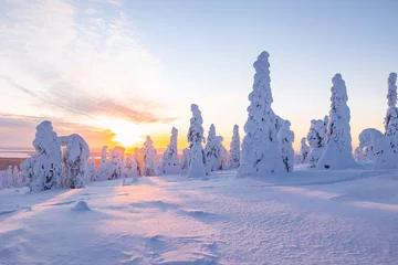 Fotobehang winter landscape with snow © Artem