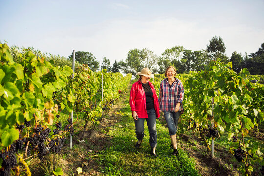 Mother with daughter walking in vineyard