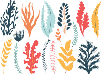seaweed set in flat style isolated vector