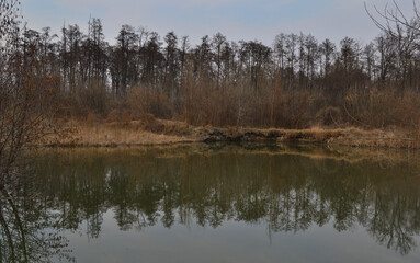 Trees without leaves on the shore of the lake against the blue sky are reflected in the water