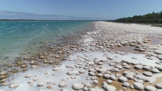 Lake Clifton Ancient Thrombolites 4K