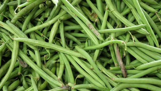 Pile of fresh green beans close up. High quality 4k footage