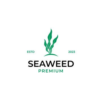 Flat seaweed logo design concept vector illustration idea