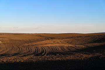 A field ready for sowing wheat. The rich, dark soil has been tilled into rows, with visible clumps of earth scattered across the ground.