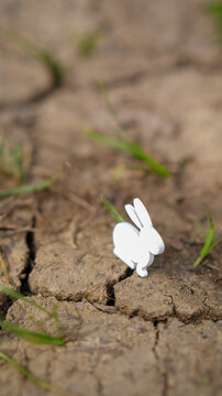 Original vertical photo, installation model of rabbit on cracked earth, landscape awakening.
Suitable for an environmentally conscious Easter card.