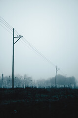 Postes en neblina.