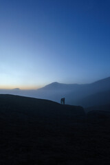 Man with horse in Mount Bromo, East java