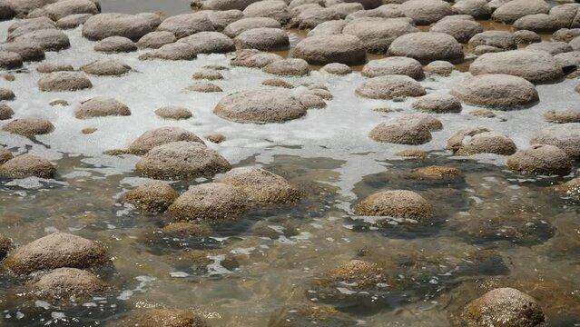 Lake Clifton Ancient Thrombolites 4K