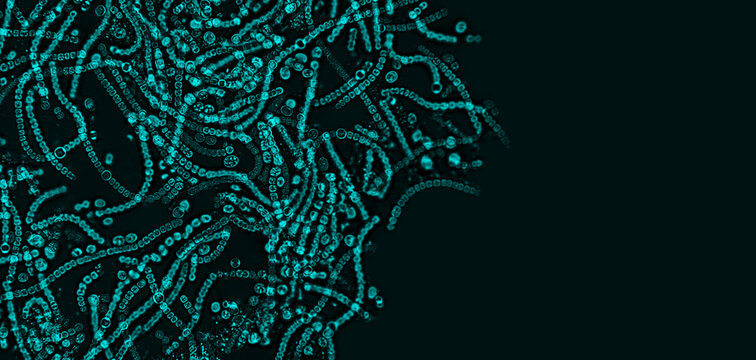 Probiotics, lactic acid bacteria. Bacteria and microorganisms. Microscopic probiotics, bacterial flora