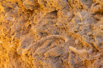 Deposits trapped (with shells) in sandstone layers on Albandeira beach cliffs on the southern Portuguese Atlantic coast in the Algave region at sunset. Portugal.