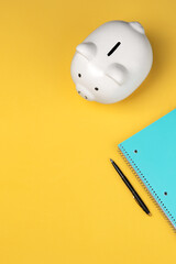 Piggy Bank and noteook on colorful background with negative space