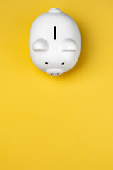 Piggy Bank on colorful background with negative space