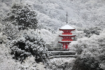 京都、清水寺の雪景色