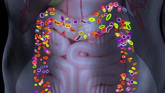 4K abstract animation of the gut microbiome