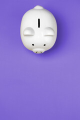 Piggy Bank on colorful background with negative space