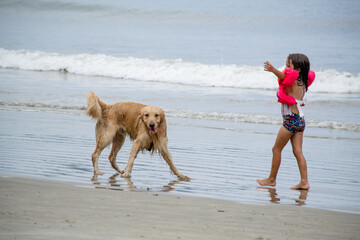 Criança brincando na praia com cachorro golden retriever com fundo para ondas e areia da praia.