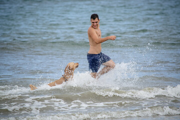 Na praia golden retriever é uma raça canina do tipo retriever originária da Grã-bretanha, e foi...