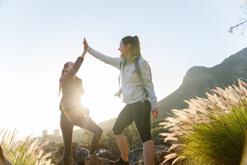 Happy female friends giving high five while enjoying in forest