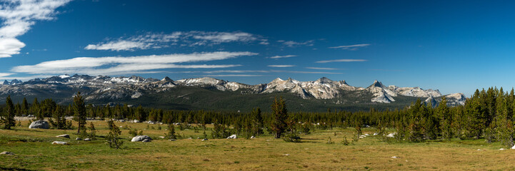 Fototapeta na wymiar Empty Meadow Flanked By Pines Sits Under the High Sierras of Yosemite