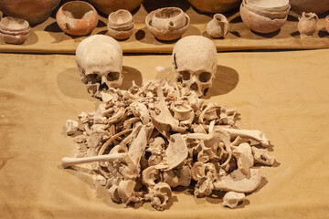 Jordan. Crusader castle. Human skulls and bones on shelf in castle museum. Majestic and impregnable...