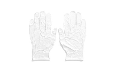 Blank white rubber gloves mockup lying, top view
