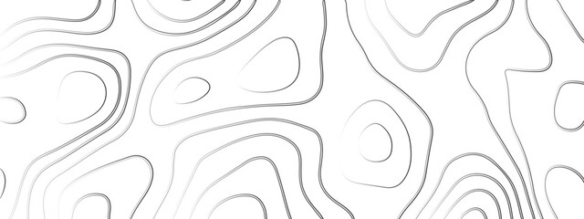 Abstract curve line white background. Soft smooth lines curving white papercut background. 
