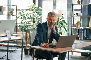 Senior businessman is working in the office