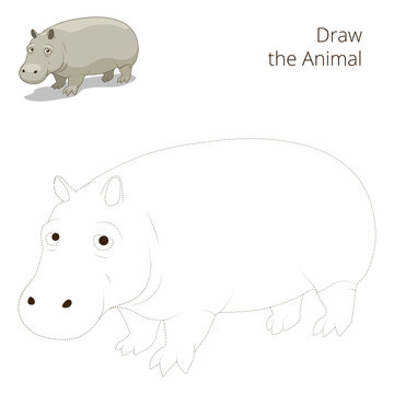 Draw the animal educational game for hippopotamus PNG illustration with transparent background