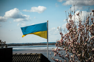 Ukraine flag  in the wind, Hamburg Germany