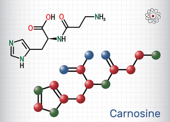 Carnosine dipeptide molecule. It is anticonvulsant, antioxidant, antineoplastic agent, human metabolite. Structural chemical formula, molecule model. Sheet of paper in a cage