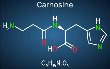 Carnosine dipeptide molecule. It is anticonvulsant, antioxidant, antineoplastic agent, human metabolite. Structural chemical formula on the dark blue background.