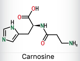 Carnosine dipeptide molecule. It is anticonvulsant, antioxidant, antineoplastic agent, human metabolite. Skeletal chemical formula