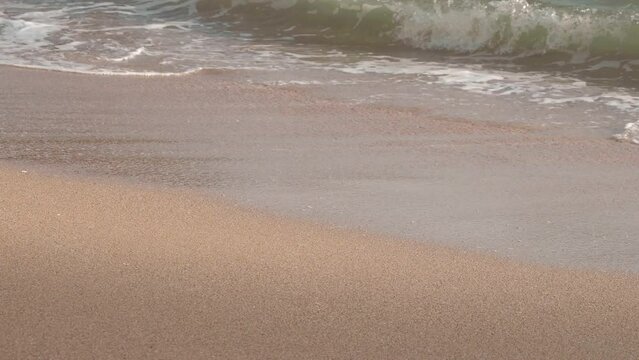 Close-up of sea with foan on sandy beach, water ebb and flow on the shore 