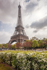 Eiffel Tower during beautiful spring time in Paris, France