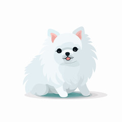 White Pomeranian Puppy - obrazy, fototapety, plakaty