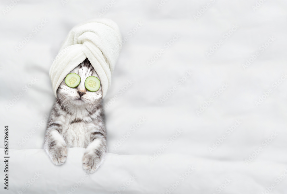 Fototapete cute kitten with towel on his head, with cream on his face and with a pieces of cucumber on his eyes