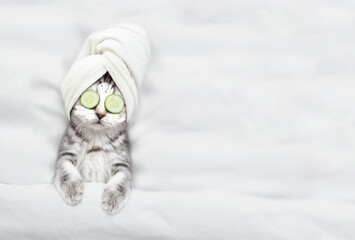 Cute kitten with towel on his head, with cream on his face and with a pieces of cucumber on his eyes relaxing on the bed at spa salon. Top down view. Empty space for text - obrazy, fototapety, plakaty