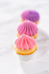 Mini Vanilla Cupcakes with Pink Buttercream Frosting