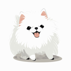 Pomeranian, Szczeniak © Przemysaw