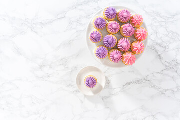 Mini Vanilla Cupcakes with Pink Buttercream Frosting