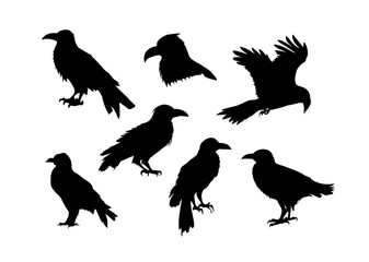 Black Crow Vector Set, Black Crow Vectors